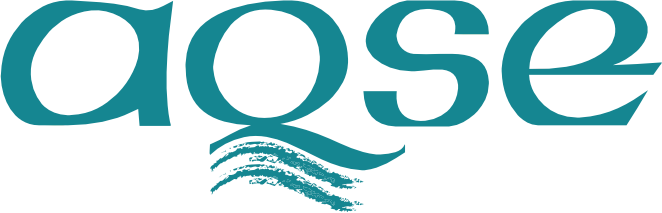 AQSE - Qualité Sécurité Environnement